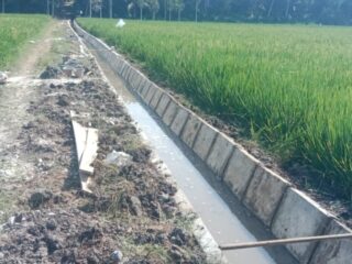 Proyek JIT Program Presiden di Lampung Timur Diduga Proyek Siluman: Modus Blangko Kosong, Mekanisme Tender Tak Jelas